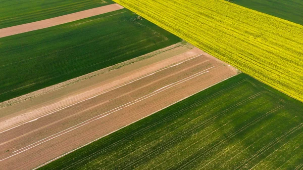 Barevné vzory v ořezových polích na zemědělské půdě, vzdušné zobrazení, bzukot — Stock fotografie