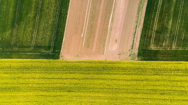 Barevné vzory v ořezových polích na zemědělské půdě, vzdušné zobrazení, bzukot — Stock fotografie