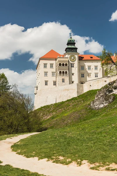Исторический замок Пиескова Скала в парке Ойкоу недалеко от Кракова в Поле — стоковое фото