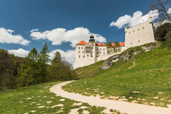 Исторический замок Пиескова Скала в парке Ойкоу недалеко от Кракова в Поле — стоковое фото