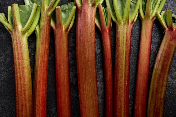 Rhubarb steams on dark background, close up view — Stock Photo, Image