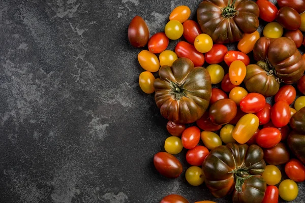 Tomates colorées biologiques crues sur fond d'ardoise foncée — Photo