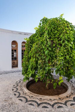 Kalithea Springs Therme Güzel Tipik Yunan İç, Rhode