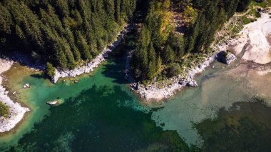 Rocky Shore ile Lake 'teki Forest Edge' de. Hava Aracı Üst Aşağı Görünümü