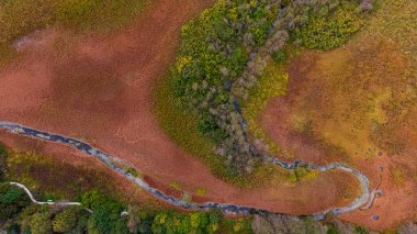 Doğadaki soyut desen. Güzel Autum 'da Hava Aracı Görünümü