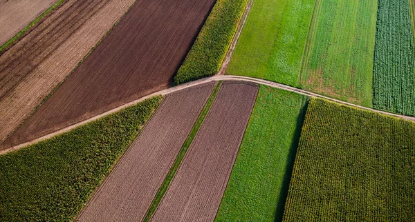 Campos agrícolas desde la vista aérea del dron. Patrón colorido —  Fotos de Stock