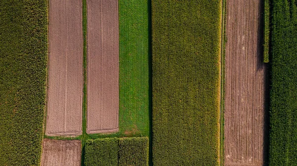 Colorful Pattern of Farming Fields. Top Down Aerial Drone View — ストック写真