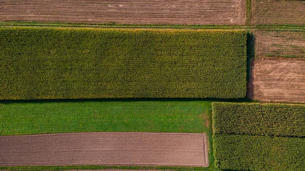 Barevný vzor farmářských polí. Pohled shora dolů na letecké drony — Stock fotografie