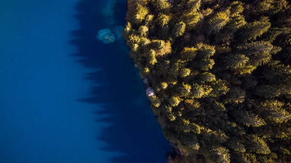 Forest Edge Over Lake. Top Down Drone Aerial Image. Vibrant Autu — Stock Photo, Image
