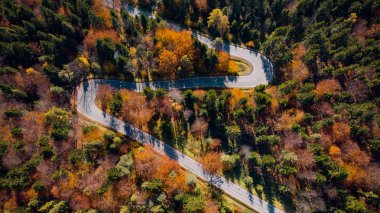 Sonbahar Yeşillik Mevsimi 'ndeki Curvy Viraj Yolu Yalağı Ormanı. üst D