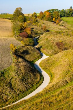 Kırsal Polonya 'da dolambaçlı kırsal yol. Sonbahar Sezonu Renkleri Açık 