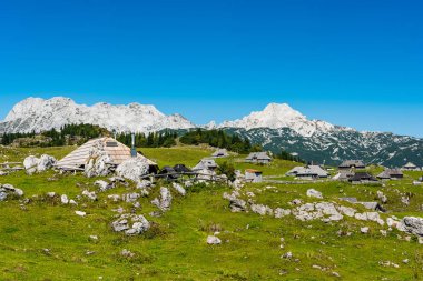 Velika Planina ya da Slovenya 'daki Büyük Çayırlık Platosu. Geleneksel A