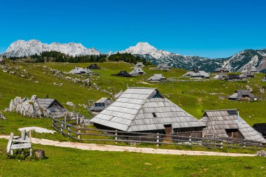 Velika Planina ya da Slovenya 'daki Büyük Çayırlık Platosu. Geleneksel A