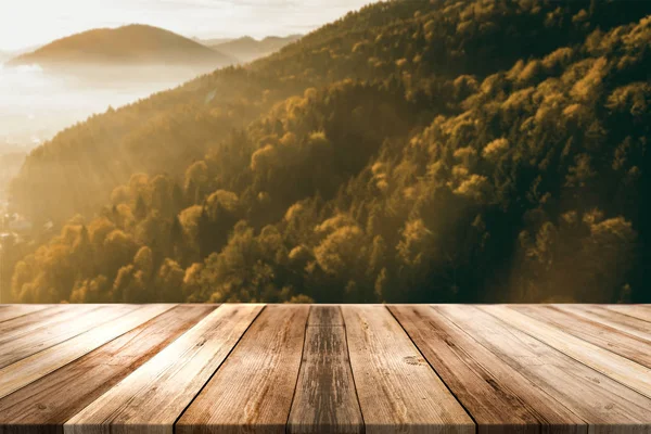 Wooden Board Product Display Montage or Background. Forest Theme — Stock Photo, Image