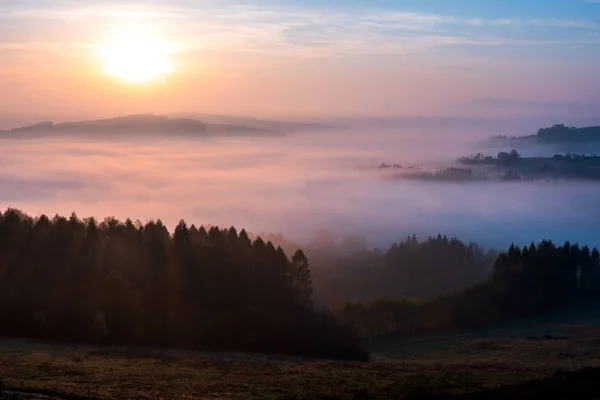 Bella alba su Foggy Rolling Hils e foresta in autunno — Foto Stock