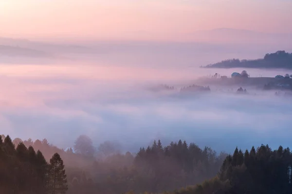 Nuvole pastello all'alba su nebbia e foresta — Foto Stock