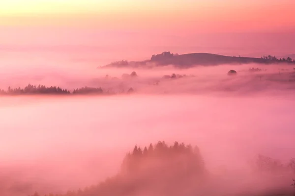 Piękne Rolling Hills we mgle o różowym pastelowym wschodzie słońca w jesieni — Zdjęcie stockowe