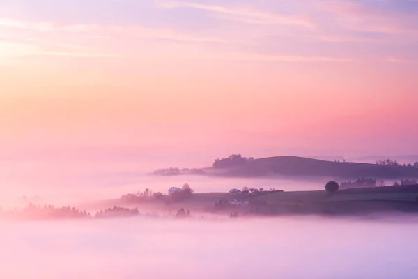 Rolling Hills we mgle o wschodzie słońca w sezonie jesiennym. Różowy Pastel Co — Zdjęcie stockowe