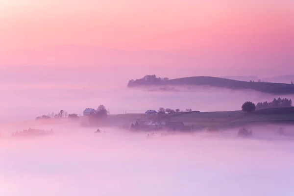 Rolling Hills we mgle o wschodzie słońca w sezonie jesiennym. Różowy Pastel Co — Zdjęcie stockowe