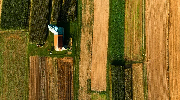 Lonely Chapel on Farm Fields. Abstract Pattern. Top Down Aerial