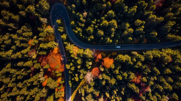 滝の葉の色で曲がりくねった道の谷の森。トップダウ — ストック写真