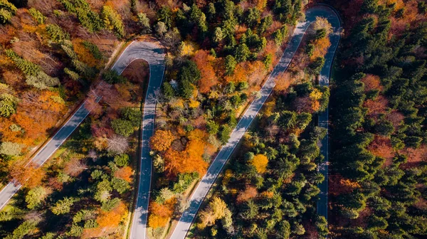 Beautiful Winding Road en Woodland en la temporada de otoño. De arriba abajo Dron — Foto de Stock