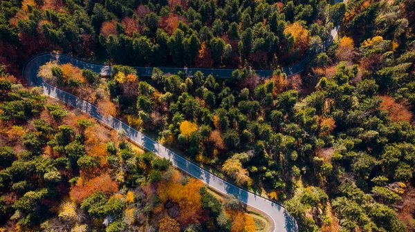 Schöne kurvenreiche Straße im Wald zur Herbstzeit. Dron von oben nach unten — Stockfoto