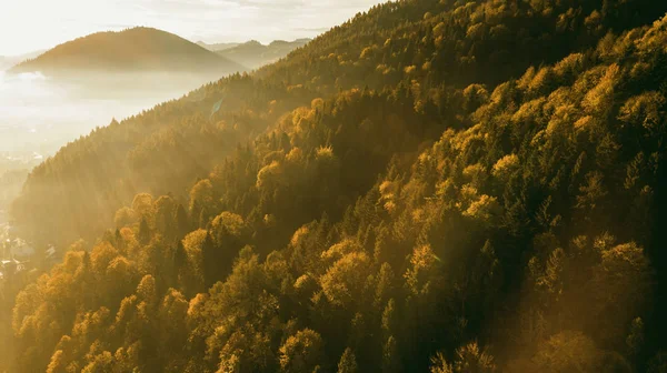 Рассвет над осенним лесом. Vibrant Foliage and Sun R — стоковое фото