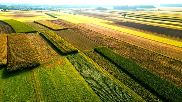 Terreno agricolo colorato e campagna panoramica. Vista aerea Drone — Foto Stock