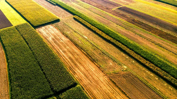 Campos de campo coloridos granja. Suelo cultivado con cultivos. Ae. — Foto de Stock