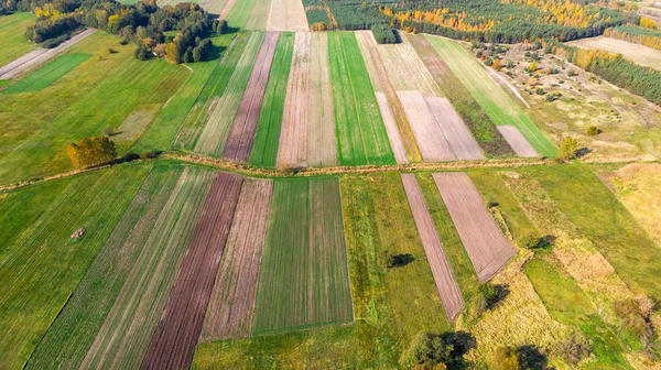 Kleurrijke landbouwvelden op het platteland in Polen. Dron vanuit de lucht — Stockfoto