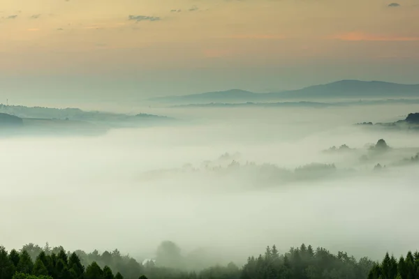 Όμορφο Πρωινό Στην Εξοχή Rolling Hills Στο Morning Fog Ροζ — Φωτογραφία Αρχείου