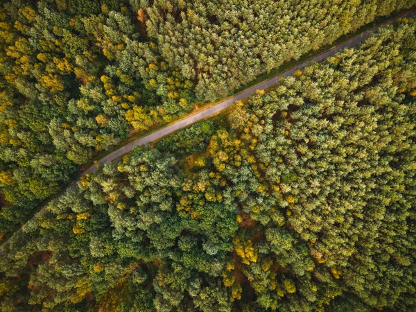 Curvy Road Autumnal Forest Aerial Drone Vista Superior Hacia Abajo — Foto de Stock
