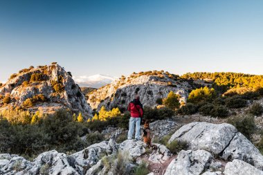 Uzak Dağlarda Köpekle Seyahat. Coronavirus Pandemic Time 'da macera. Sosyal Mesafe.