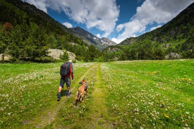 Aktif Çift Arkadaşları Adam ve Köpek Macerası Dağlarda Açık Hava Yaşam Tarzı.