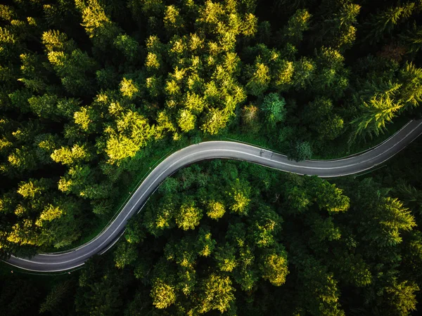 Winding Curvy Road Trough Forest Aerial Drone Top View Paisaje — Foto de Stock