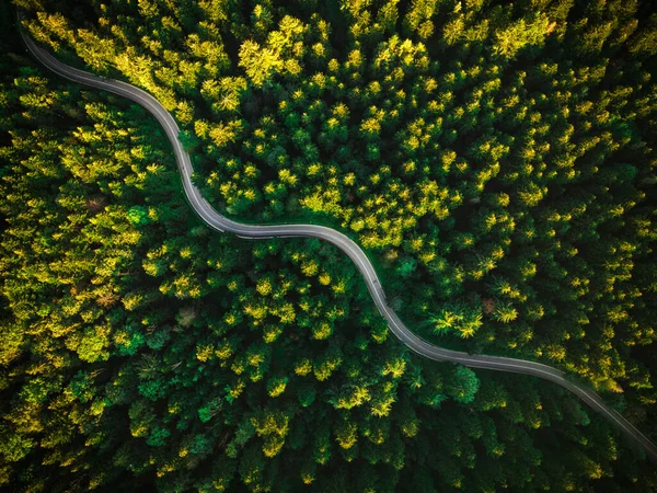 Στο Δάσος Κάρβι Ρόουντ Τραφ Εναέρια Drone Top View Τοπίο — Φωτογραφία Αρχείου