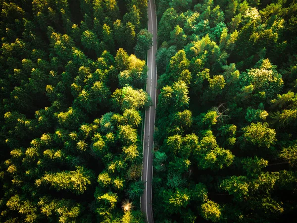Strada Diritta Nella Foresta Colorfu Estate Drone Fotografia — Foto Stock
