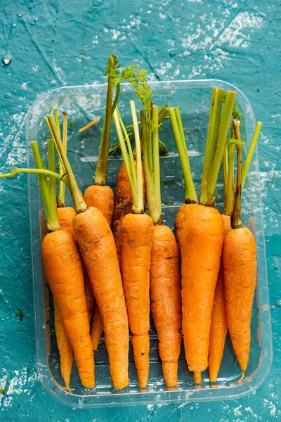 Orange Mini Carrots Plastic Tray Dalam Bahasa Inggris Farm Fresh — Stok Foto