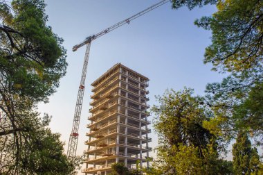 Şantiye etrafındaki ağaçlarla ile