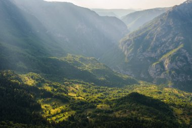 UNESCO tarafından Durmitor korumak Vadisi nehir Tara Kanyon, Karadağ ile