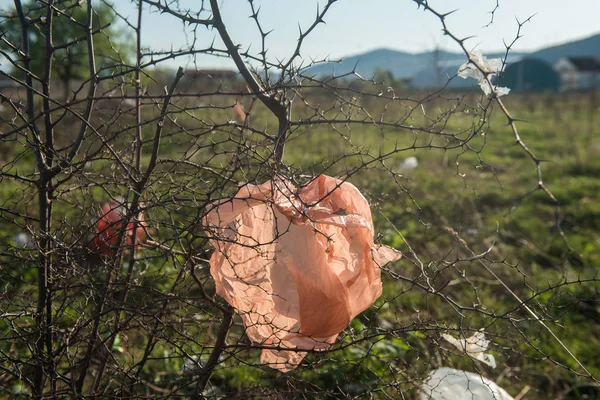 Basura Campo —  Fotos de Stock