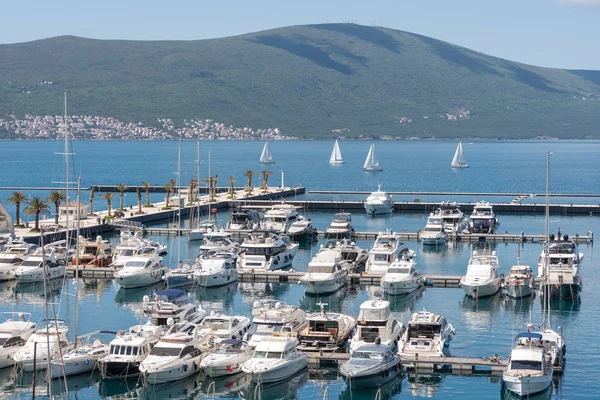 Marina Porto Monténégro Avec Yachts Voiliers Dans Baie Tivat — Photo