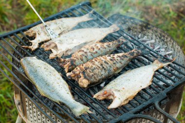 Deniz balığı ızgara, yakın çekim