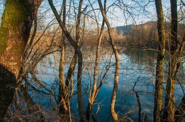 Paisaje Invernal Con Bosque Río —  Fotos de Stock