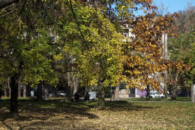 Şehir Parkı iki yaşlı erkekle 