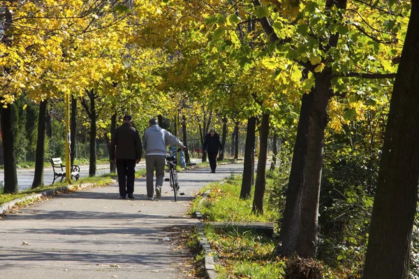 İnsanlar sırasında sonbahar sabahı