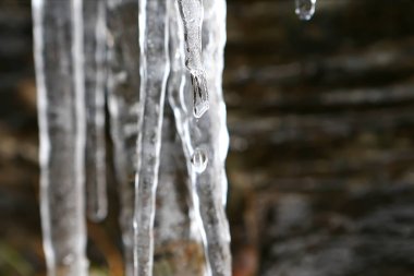 Icicle'ı düşen damla