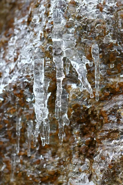 The thawing icicles with the falling water drop in the mountains of France in Vaujany in the winter