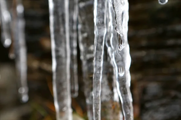 Τήξη Icicles Πτώσης Του Νερού Πέσει Στα Βουνά Της Γαλλίας — Φωτογραφία Αρχείου